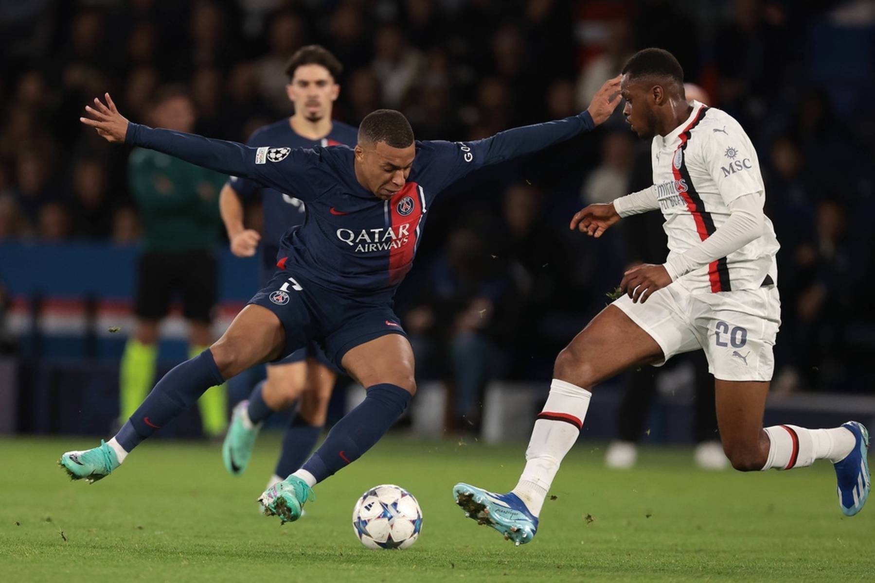 张感和观赏 张感和观赏