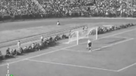 张之臻退出 张之臻退出