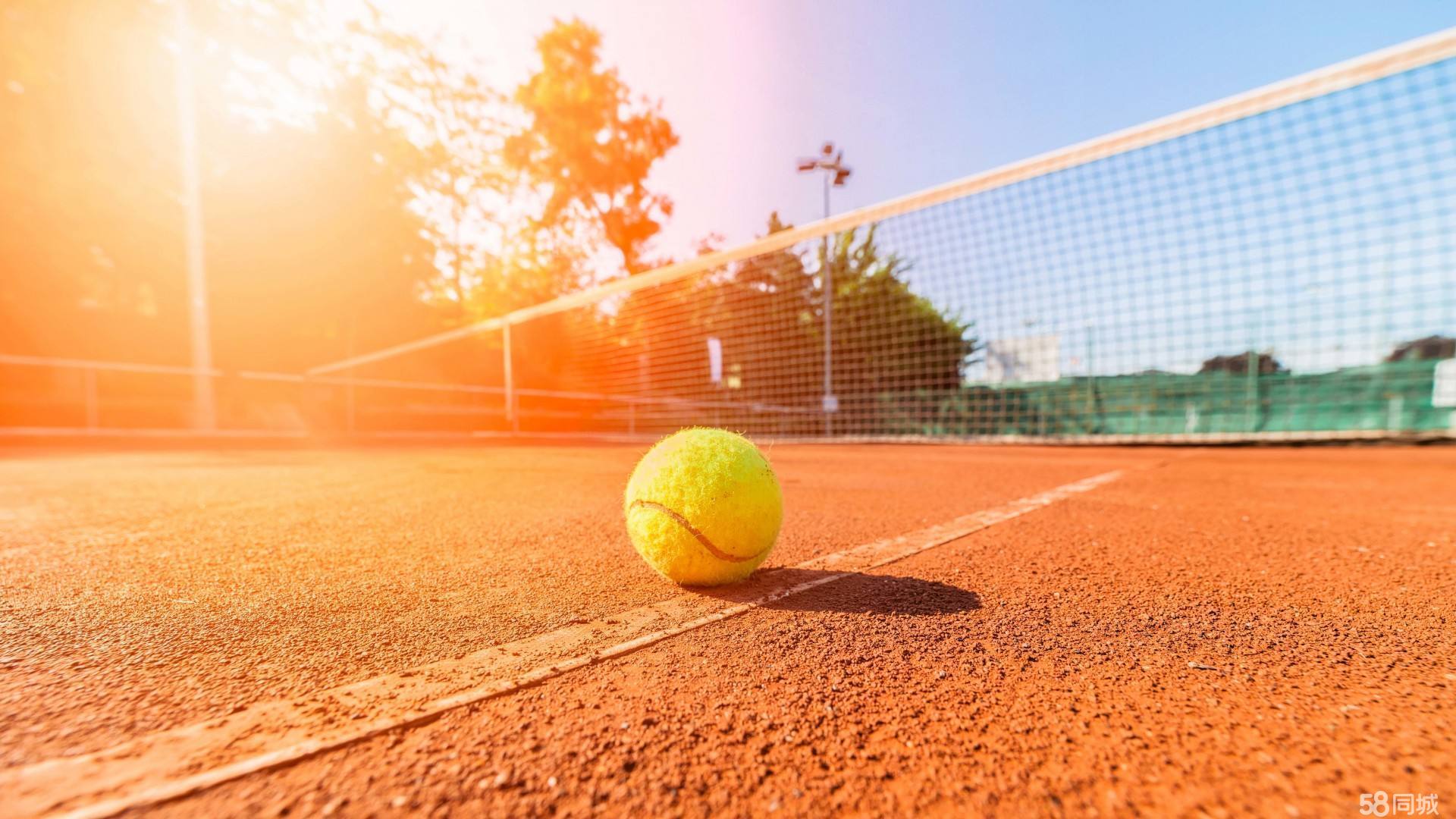 中国队在身 中国队在身