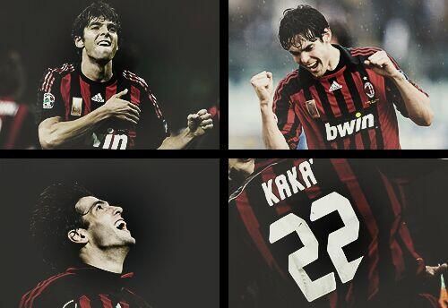 的团结和协 的团结和协