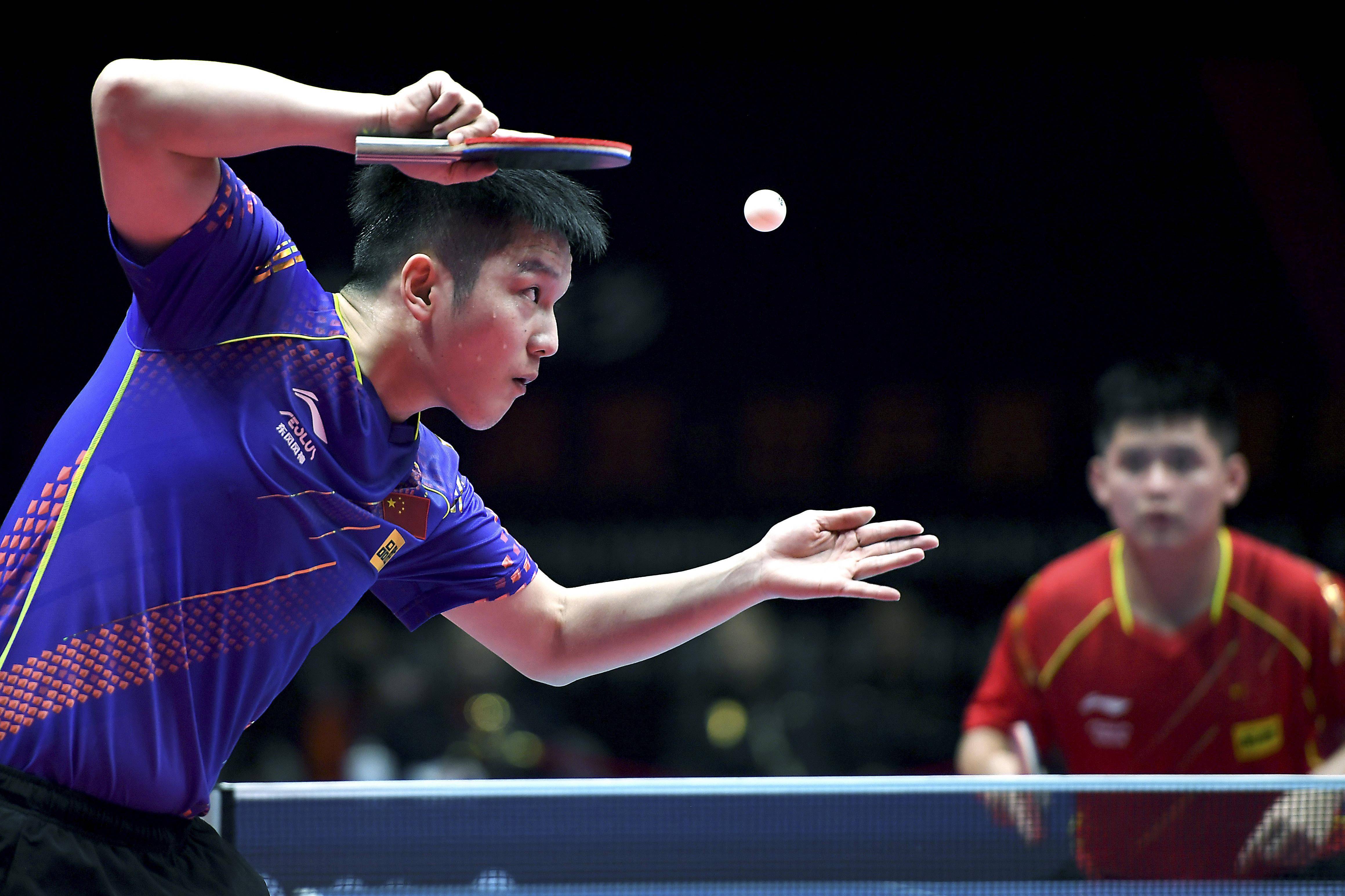 族壮丽历史 族壮丽历史